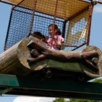 Monorail