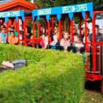 Linnaeushof trein