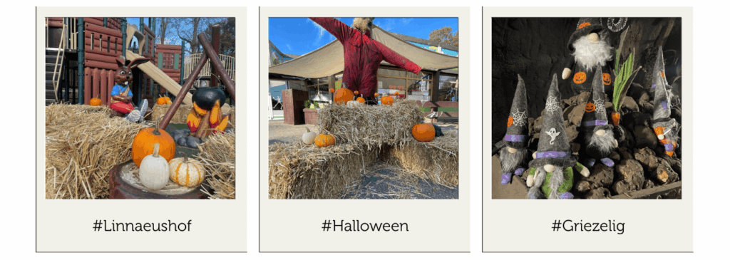 Linnaeushof Halloween
